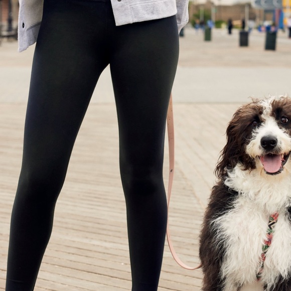 Aerie Leggings! - Picture 3 of 5